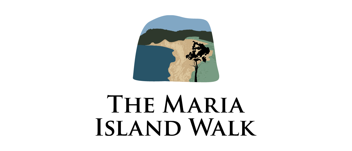 ExperienceCo Company Logo